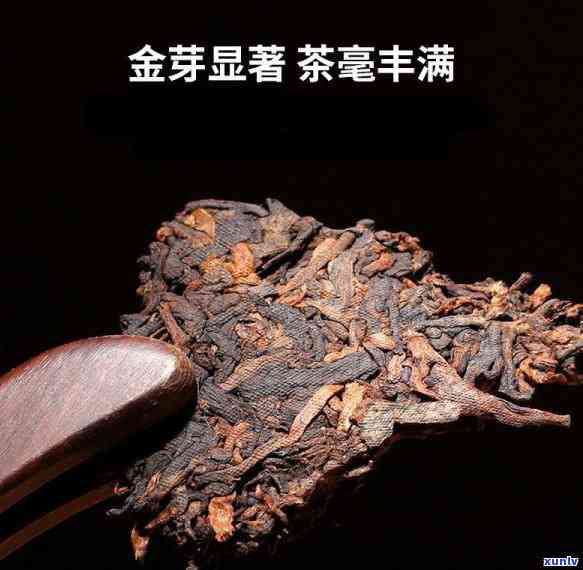 普洱茶颜色变化与品质的关系，探究哪几种颜色的普洱茶喝