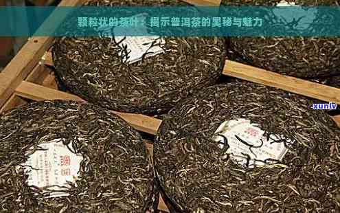 班章普洱茶颗粒状：全新体验，古树茶魅力，精细研磨工艺，品质升级