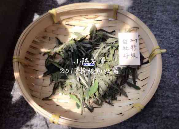 七年普洱茶的价值评估：从品质、市场和收藏角度全面解析