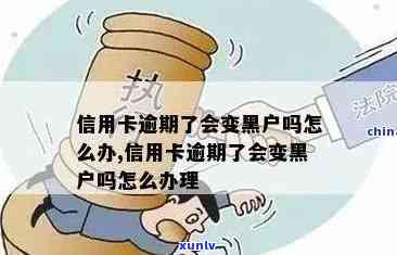 信用卡逾期算是黑户怎么办：解决办法与办理步骤