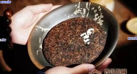 木叶醇年份茶：十年陈普洱熟茶的品质、 *** 工艺与品饮 *** 详解