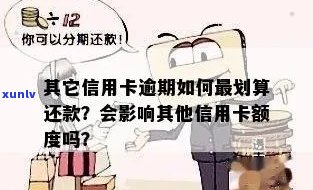 翡翠肉粗做什么好