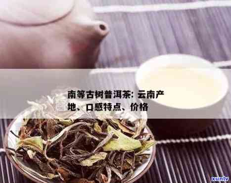 '南等普洱茶口感，南迫古树普洱茶，南等春茶普洱茶'