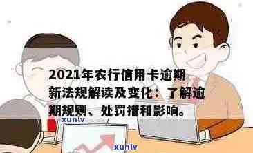 农行信用卡还款逾期：处理办法与影响分析