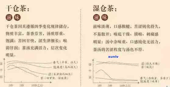 普洱茶：干仓与湿仓的对比分析，哪个更适合你？