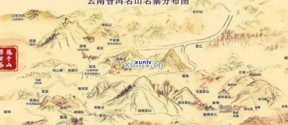 普洱茶六大山头全方位解析：品质、产量、历文化一应俱全！