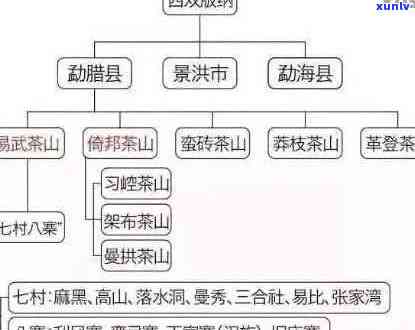 普洱茶各山头特色口感大全：大益、勐海、勐库等山头的基本特性与口感概述。