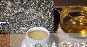 普洱茶不能喝吗-痛风可以喝茶吗?普洱茶不能喝吗