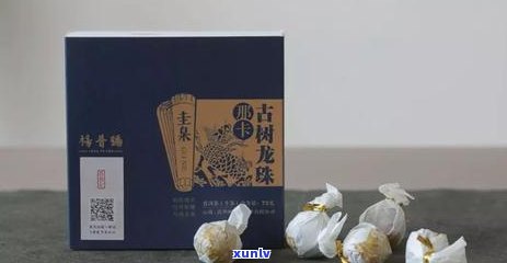 古树普洱茶的独特魅力：外观特征与品饮体验详解