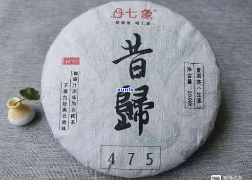 2023年龙润普洱茶价格表：年份，品种，口感分析与比较