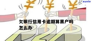 信用卡逾期催款了会变黑户吗怎么办？