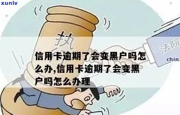 信用卡逾期催款了会变黑户吗怎么办？