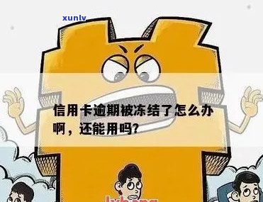 信用卡账户被冻结？了解逾期、欠款和账户状态的影响及解决 *** 