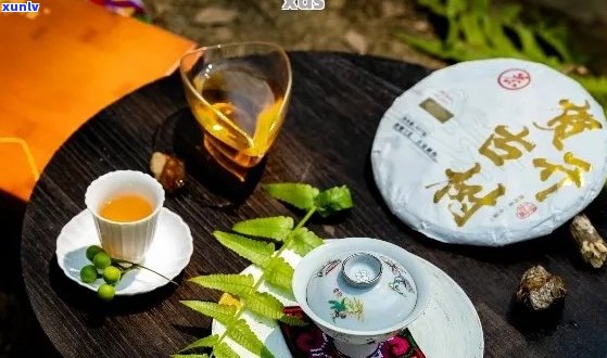 达号茶行普洱茶品质如何？值得购买吗？