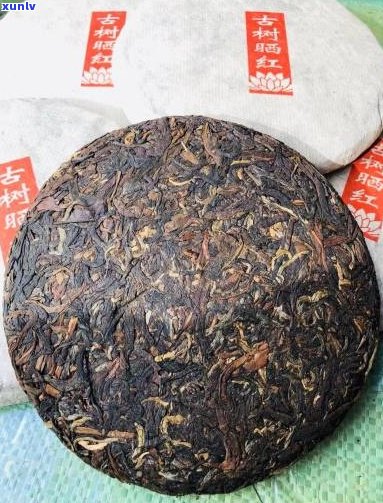 达号易武古树茶2005年圆饼价格，易武达号茶行普洱茶好吗？