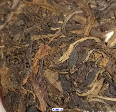 达号易武古树茶2005年圆饼价格，易武达号茶行普洱茶好吗？