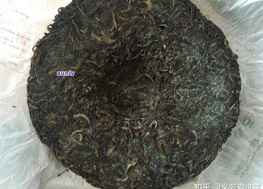 普洱茶发霉了怎么办？如何处理普洱茶的霉味并保护好茶叶？