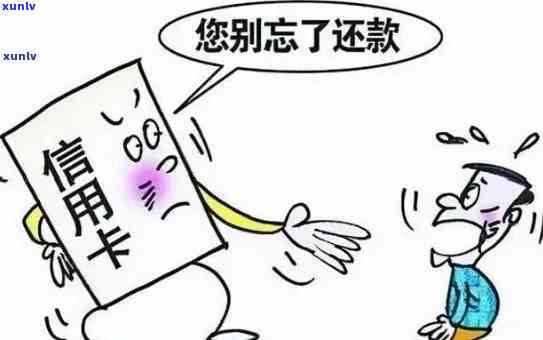 信用卡还款逾期短信提醒缺失：如何应对与解决？