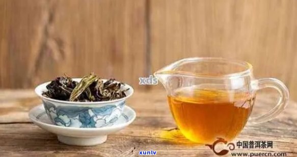 普洱茶与海宝结合的益处及注意事项：如何正确饮用普洱茶来养护海宝？