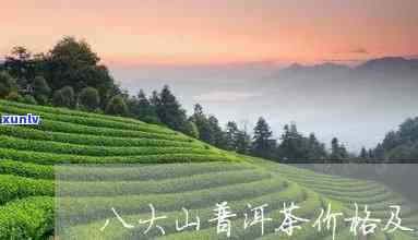 八大山普洱茶好不好