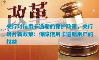 信用卡逾期后分期付款政策调整：用户权益如何保障？