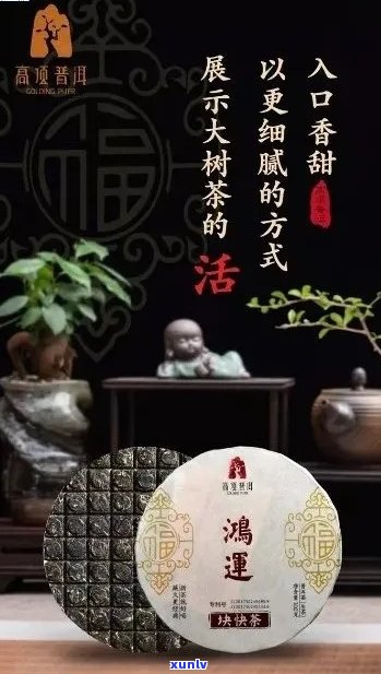 鸿庆号鸿字牌普洱茶：品质、产地、 *** 工艺以及品饮 *** 的全面解析