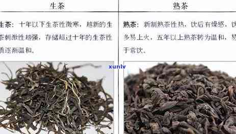 熟普洱茶一次喝多少