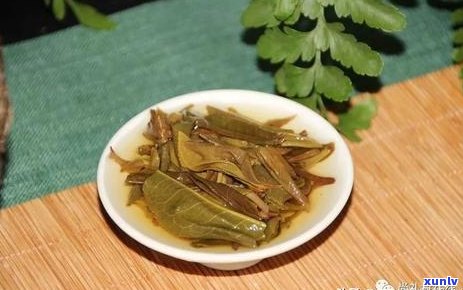 普洱茶叶的种植、 *** 、功效与品鉴：全面解析普洱叶子的价值与魅力