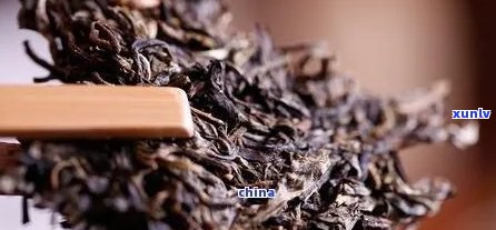 普洱茶里的白色物质是什么：探究普洱茶中的独特成分