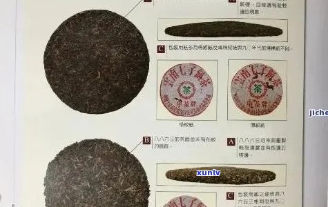 普洱茶内标：探索茶叶品质的秘密标签