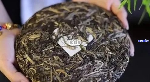 普洱茶存放一年后还能喝吗？有潜在的健风险吗？