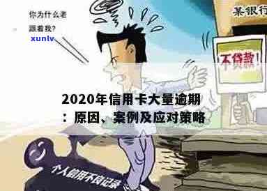 2020年信用卡逾期：原因、影响与应对策略