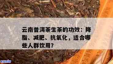 普洱茶的功效效果：降脂减肥、助消化、抗氧化、抗衰老