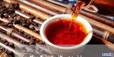 黄芽普洱茶：美味佳饮还是健误区？