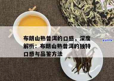 布朗山普洱茶的区别和特点：简介、口感、品鉴技巧