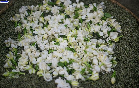 栀子花窨制茶的全攻略：如何挑选原料、 ***  *** 与品鉴技巧