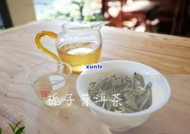 栀子花普洱茶价格表