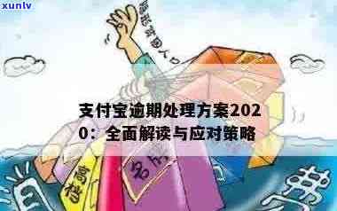 逾期20多次未支付：理解、解决方案和如何避免