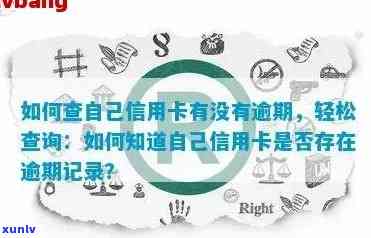 信用卡逾期记录查询指南：如何查看您的逾期情况并采取措