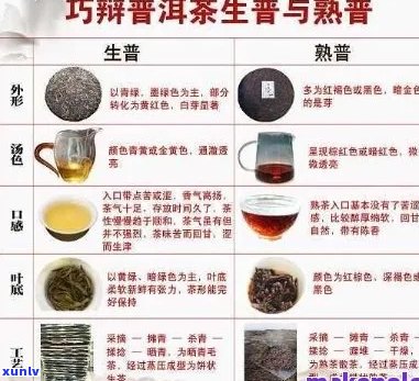 普洱茶与滇红茶：口感、品质、功效对比，哪个更适合你？