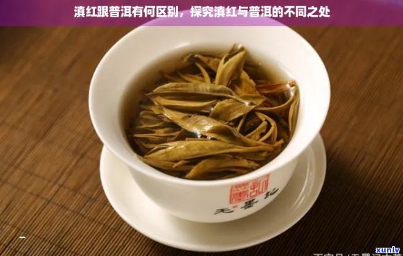 普洱茶和滇红一样吗