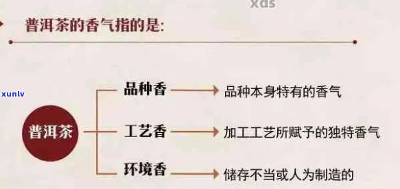 普洱茶甜度和香味的特征及选购指南：一篇全面解决用户搜索需求的文章