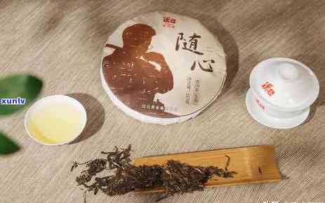 哪款普洱茶甜度更高？全面比较各类普洱茶的甜度表现