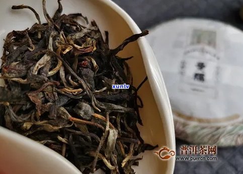 曼糯山普洱茶的产地、品种和特点全面解析