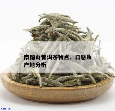 曼糯山普洱茶的产地、品种和特点全面解析