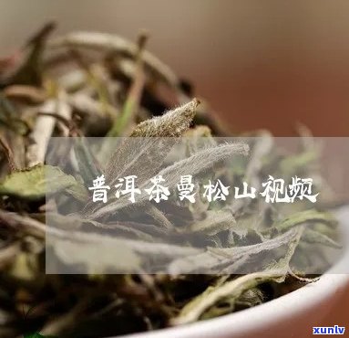 曼山普洱茶怎么做