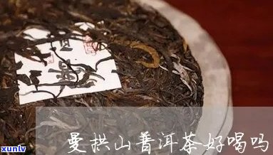 曼山普洱茶怎么做