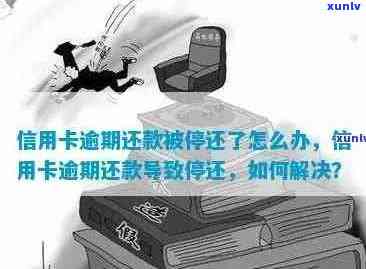 信贷逾期信用卡被止付了怎么办，如何恢复？