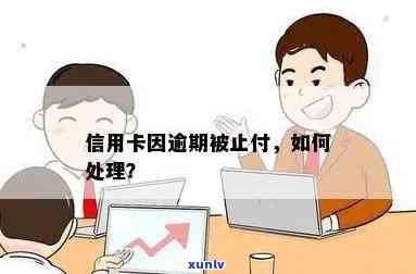 信贷逾期信用卡被止付了怎么办，如何恢复？