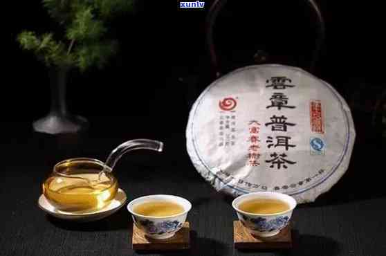 云客普洱茶年年有余：品茗宴与财富之源